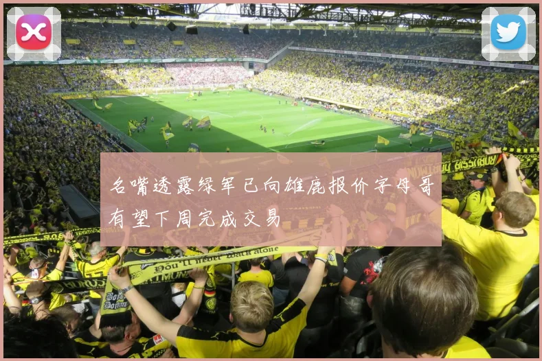 名嘴透露绿军已向雄鹿报价字母哥有望下周完成交易